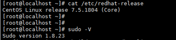 AnyShare-Sudo缓冲区溢出漏洞（CVE-2021-3156）